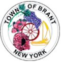 Town of Brant, NY Home