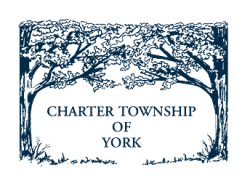 Charter Township of York, MI Home
